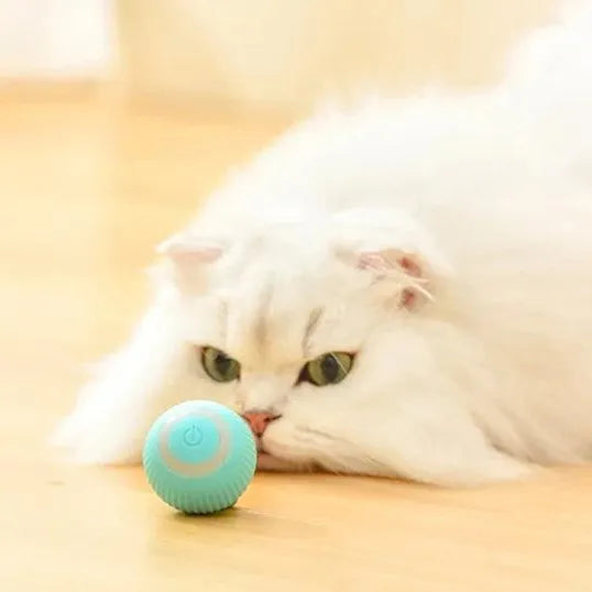 Bola Elétrica de Brinquedo para Gatos - Aruky Store