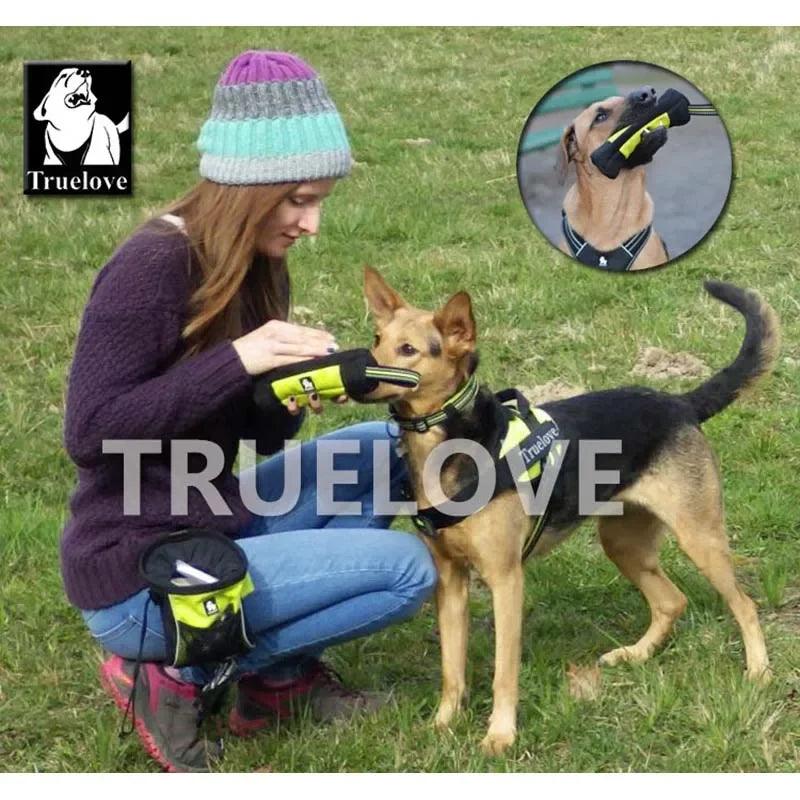 Bolsa Truelove portátil para cães - Aruky Store