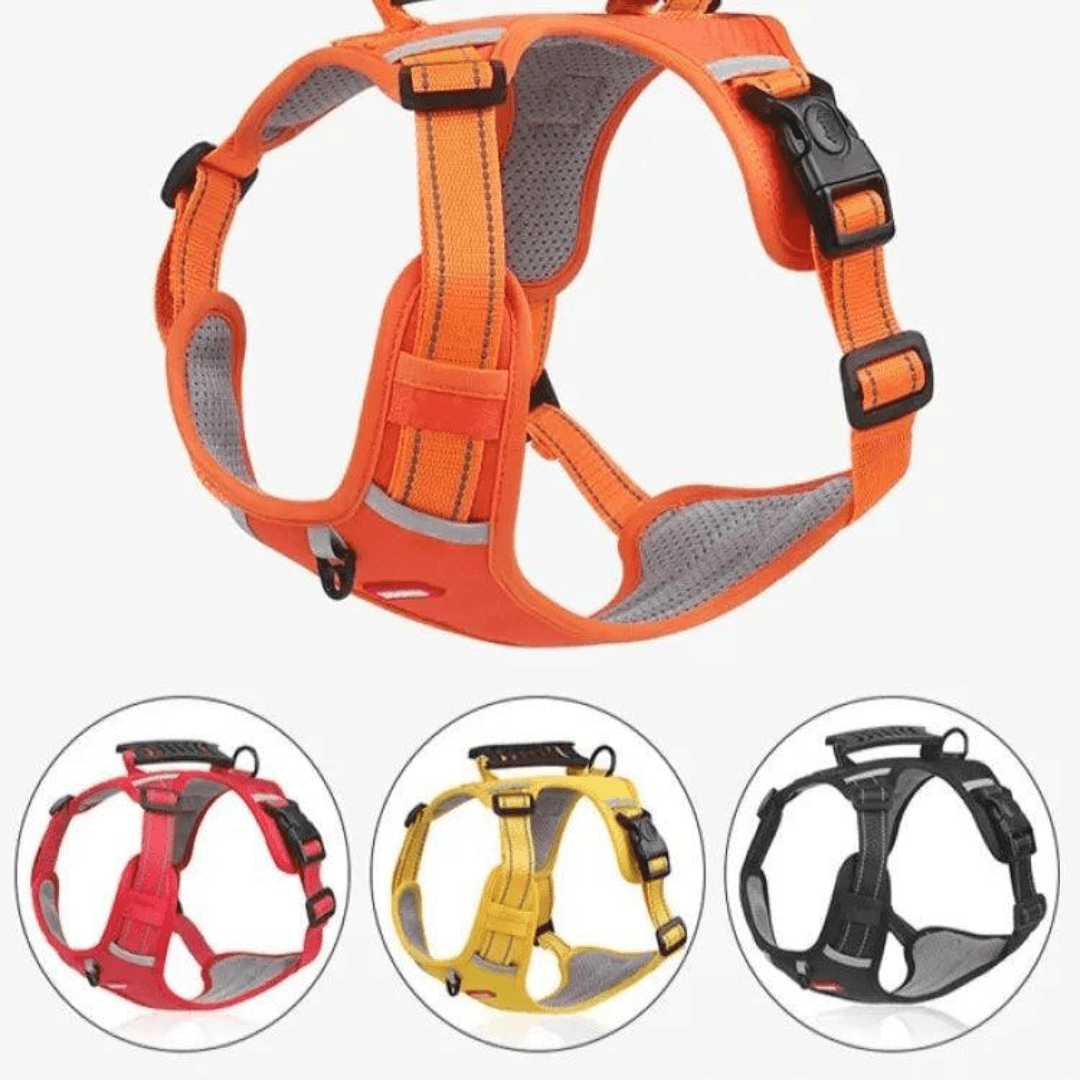 Peitoral para Cachorros FlyHarness - Aruky Store