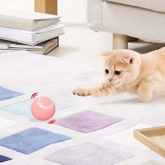 Smart Ball - brinquedo inteligente para gatos - Aruky Store